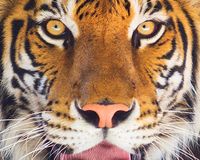 Please sign the petition today!