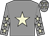 Grey, beige star, grey, beige stars sleeves, grey, beige stars cap