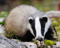 Please sign the petition today!