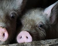 Please sign the petition today!