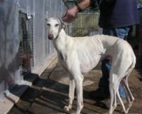 Please sign the petition today!