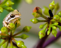 Please sign the petition today!