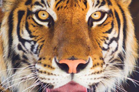 Please sign the petition today!