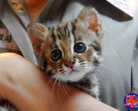 Please sign the petition today!