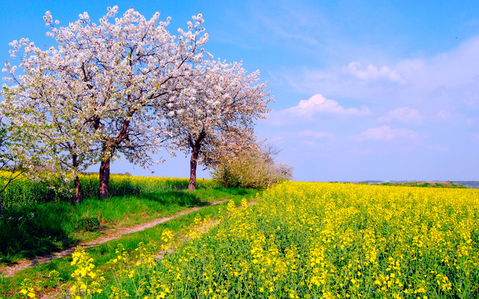 12 (700x437, 583Kb)
