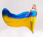  vita_linka