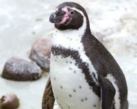 Please sign the petition today!