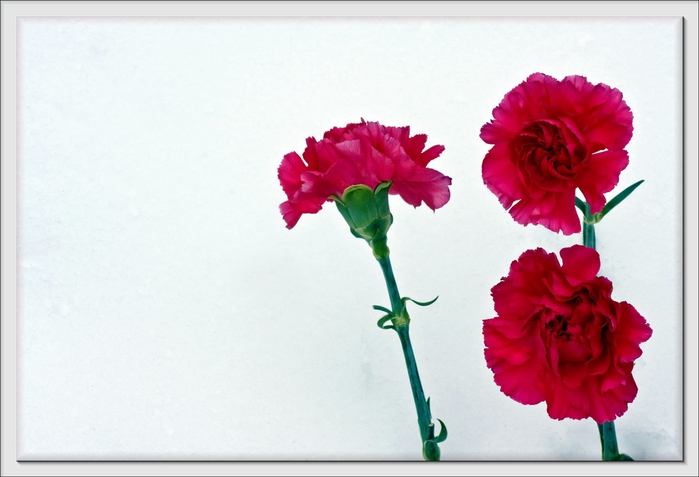 22 (700x477, 170Kb)