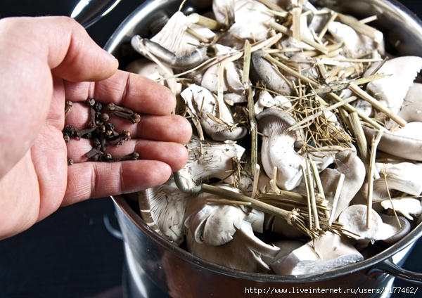 5177462_553 (600x424, 237Kb)