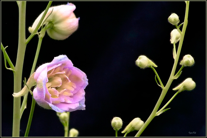 7 (700x468, 280Kb)
