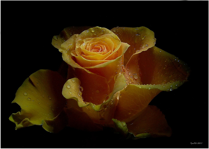 9 (700x498, 228Kb)