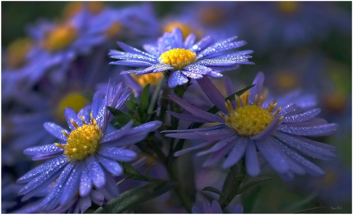 6 (700x427, 318Kb)