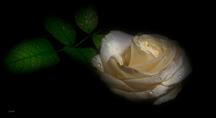 17 (700x383, 127Kb)