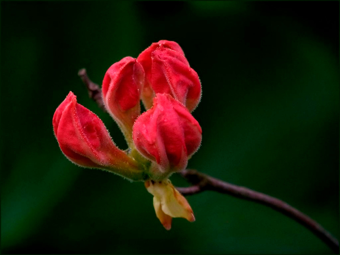 8 (700x525, 239Kb)