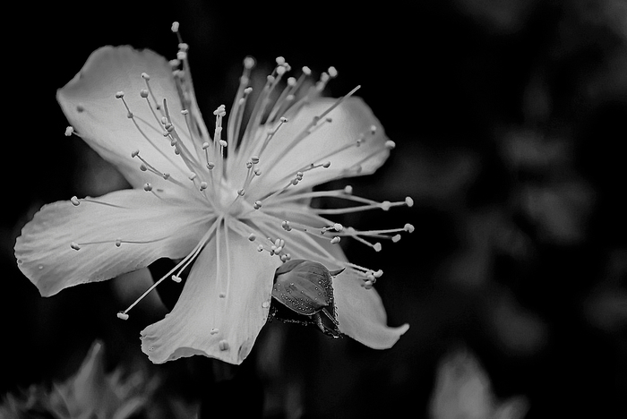 10 (700x468, 139Kb)