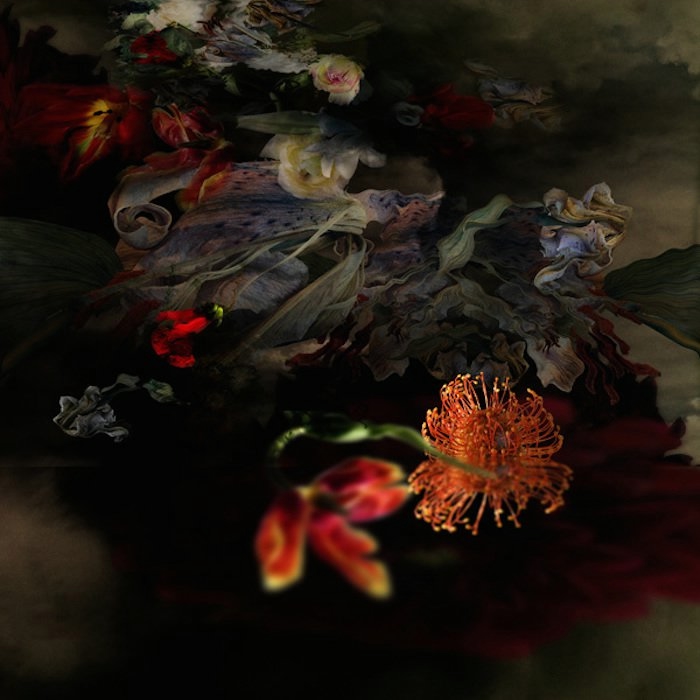 5 (700x700, 135Kb)