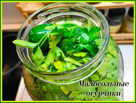 4382988_big (465x353, 37Kb)