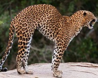 Please sign the petition today!