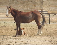 Please sign the petition today!