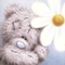 31 выкуп CND