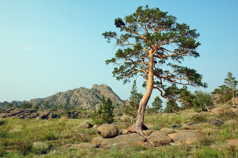 На  горизонте  Спящая  красавица!