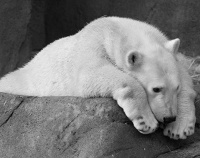 Please sign the petition today!