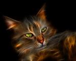 angel_devid