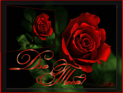 ��� �����-1 (6).png