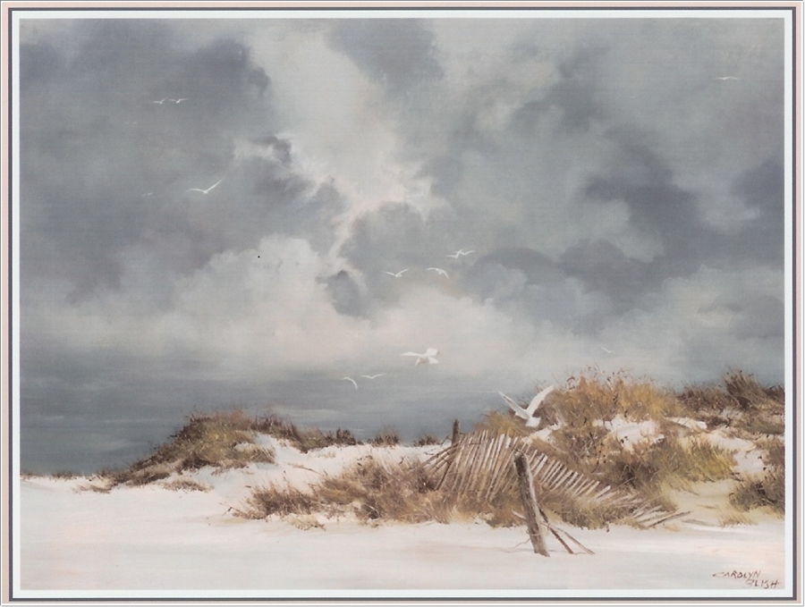  Carolyn Blish