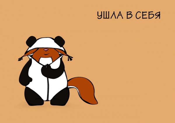 Жизнь и быт Крошки Ши ОПТИМИСТ