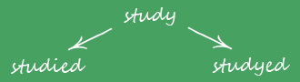 study - studied or studyed