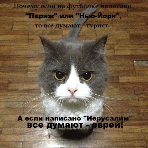 44 (480x480, 210Kb)