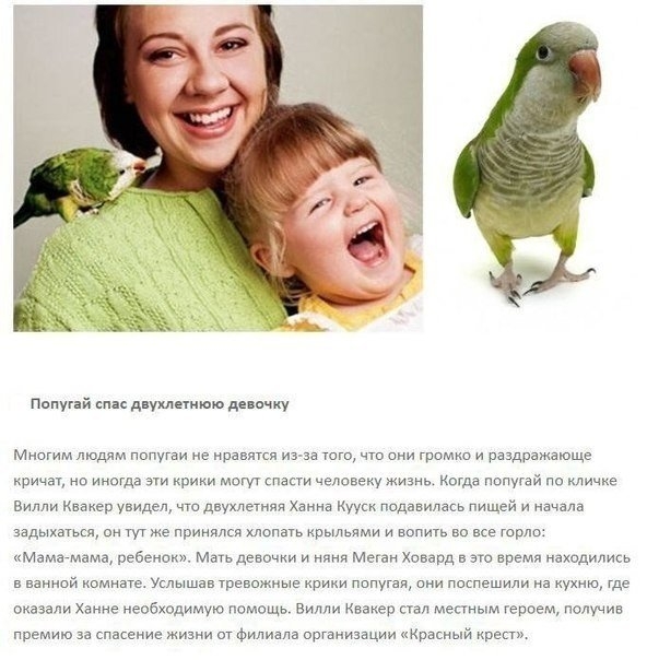 5 (592x604, 179Kb)