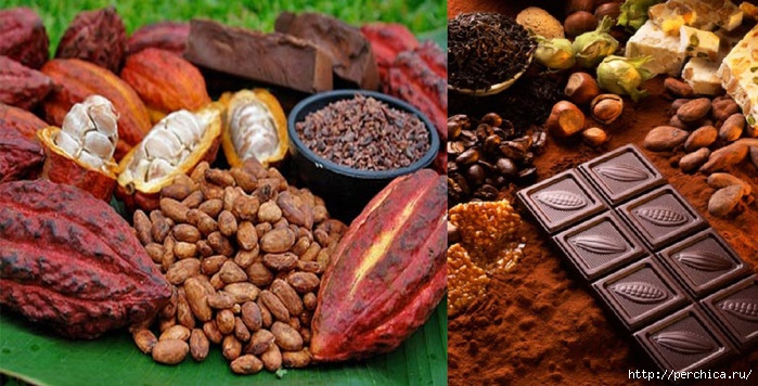 4979645_Tiposdechocolates (700x356, 214Kb)