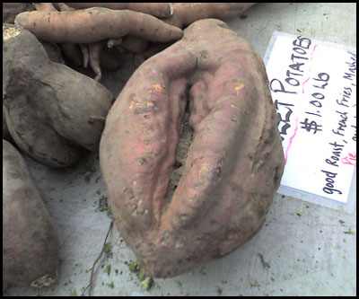 ������� �����