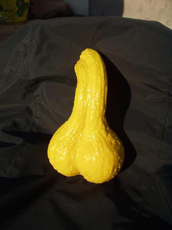 ������� �����