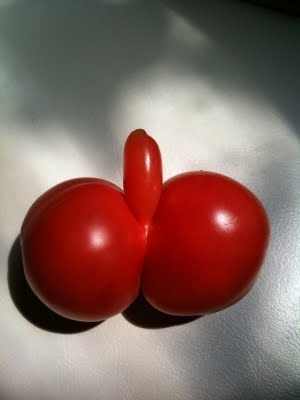 ������� �����