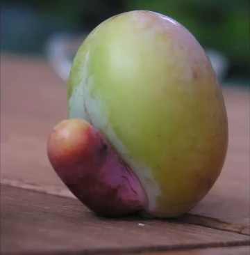 ������� �����