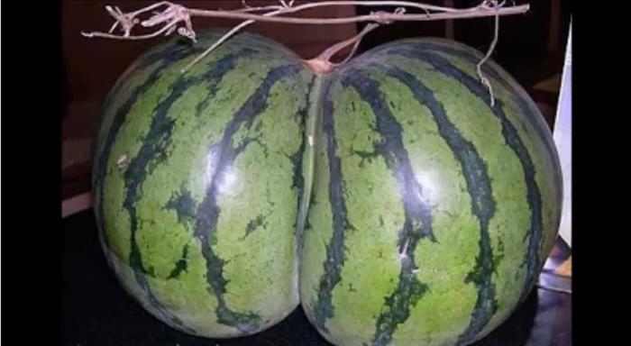 ������� �����