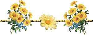 3431 (300x114, 212Kb)