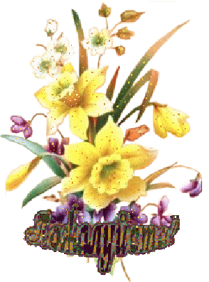 ���1 (300x405, 81Kb)