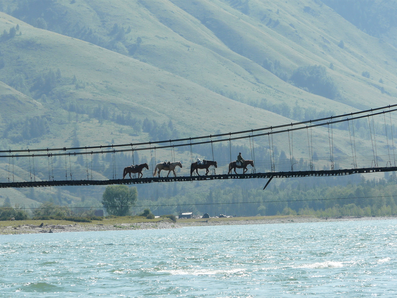 Мост Катунь Тюнгур