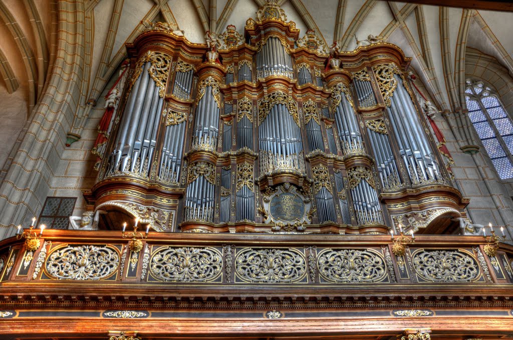 8. Орган Троста (Альтенбург, Германия) музыкальный инструмент, орган