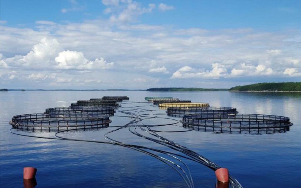 ООН провозгласила 2022 год Международным годом кустарного рыболовства и аквакультуры