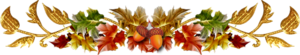 ? 5 (300x55, 39Kb)
