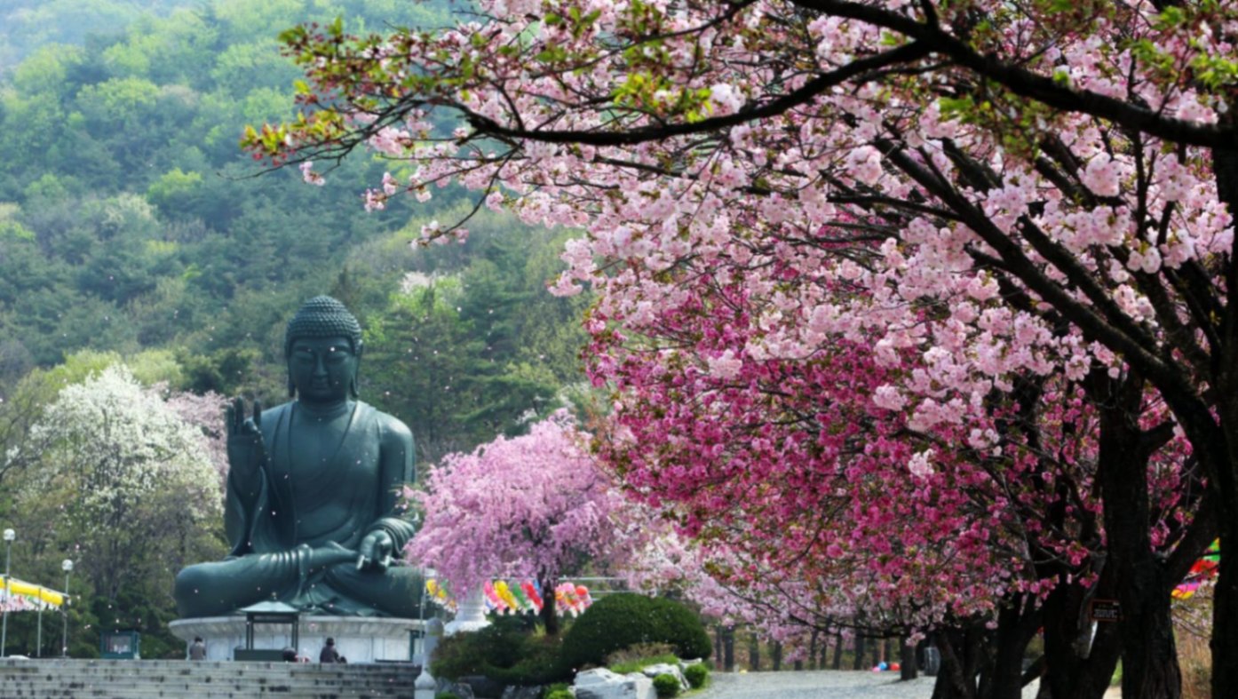 День рождения Будды в Корее