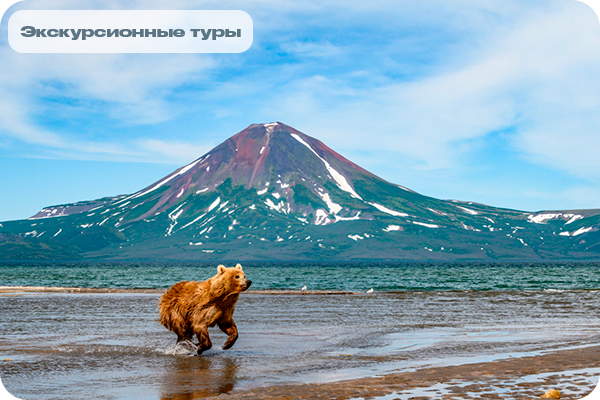 Камчатка: главное путешествие в жизни