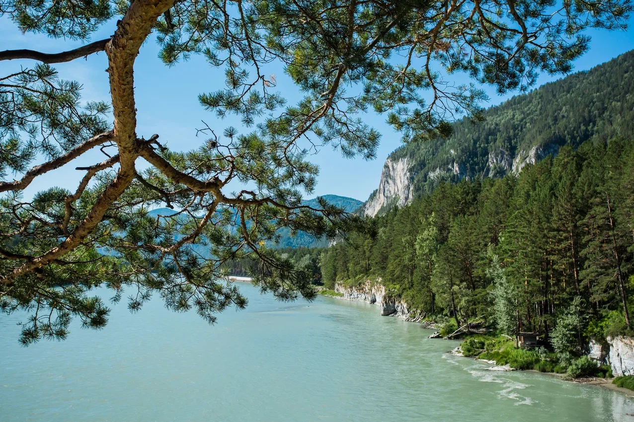 Алтай без границ