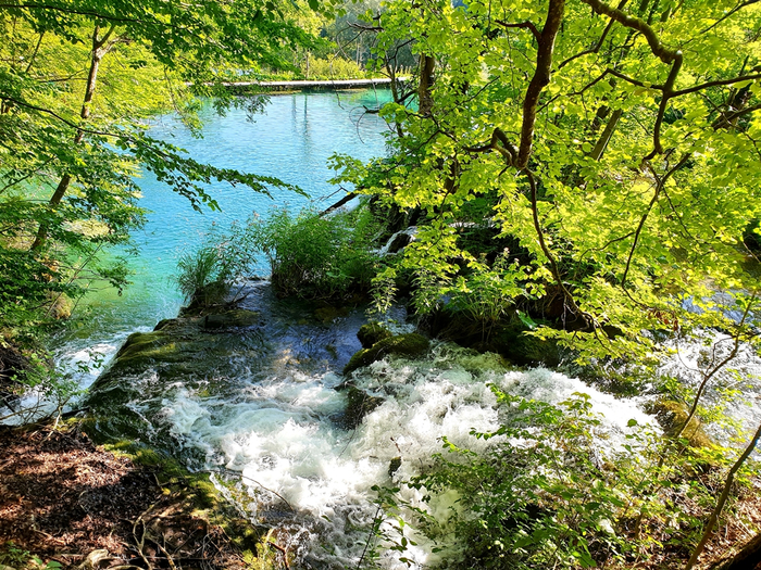 20190804_095848 (700x525, 701Kb)