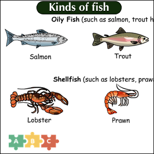 puzzle_img_kinds_of_fish